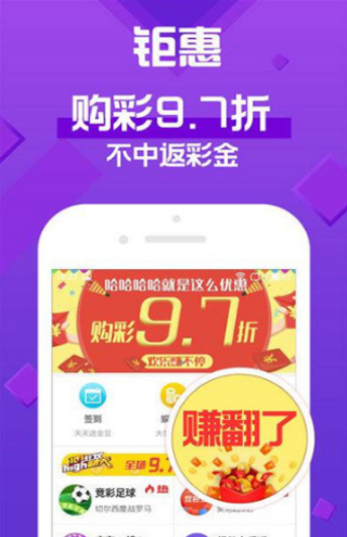 2024澳门天天开好彩大全app,关于澳门天天开好彩大全app的探讨与警示