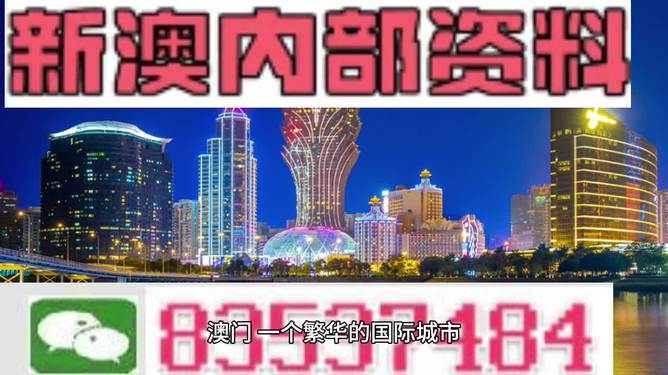 2024年新澳门王中王免费,探索新澳门王中王免费游戏世界——2024年的新机遇与挑战